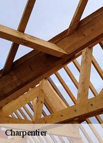 Artisan Scheit, un charpentier de référence pour un traitement de fond de votre structure en bois