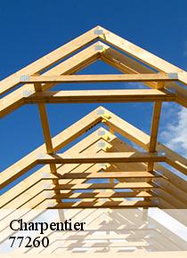 Artisan Scheit, un charpentier de référence pour un traitement de fond de votre structure en bois