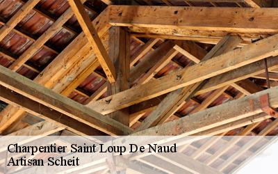 Rehaussement d'une maison à Saint Loup De Naud: discutez de votre projet avec le charpentier aguerri Artisan Scheit