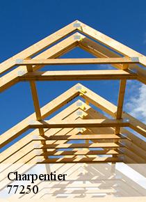 Artisan Scheit, un charpentier de référence pour un traitement de fond de votre structure en bois