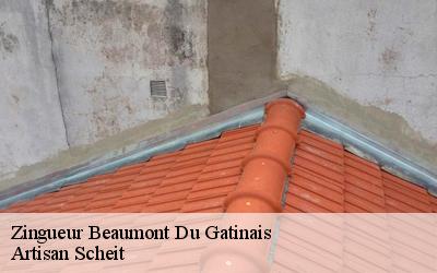 Croyez-en Artisan Scheit pour vos travaux de zingueur à Beaumont Du Gatinais dans le 77890 !
