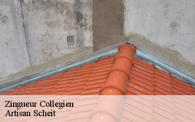 Pour assurer l'étanchéité de votre toiture à Collegien, choisissez de faire appel au zingueur Artisan Scheit