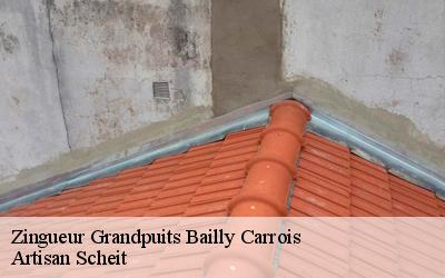 Savez-vous le tarif de réparation toiture en zinc du Artisan Scheit à Grandpuits Bailly Carrois dans le 77720 !