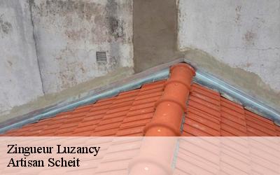 Faites confiance à Artisan Scheit zingueur professionnel à prix imbattable à Luzancy dans le 77138 ?