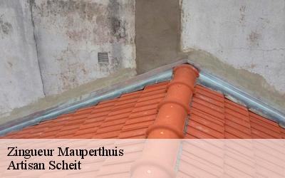 Remplacement de chéneau et de gouttière à Mauperthuis: le zingueur Artisan Scheit vous offre le devis