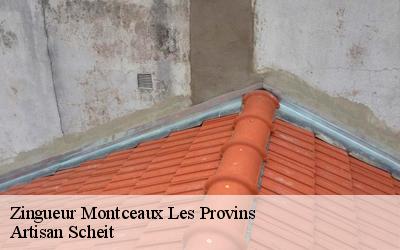 Réparation de zinguerie dans le 77151: garantissez la réussite de l'opération en faisant appel à l'équipe de Artisan Scheit