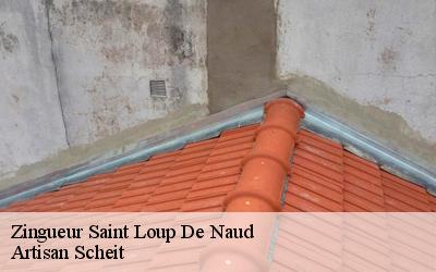Remplacement de chéneau et de gouttière à Saint Loup De Naud: le zingueur Artisan Scheit vous offre le devis